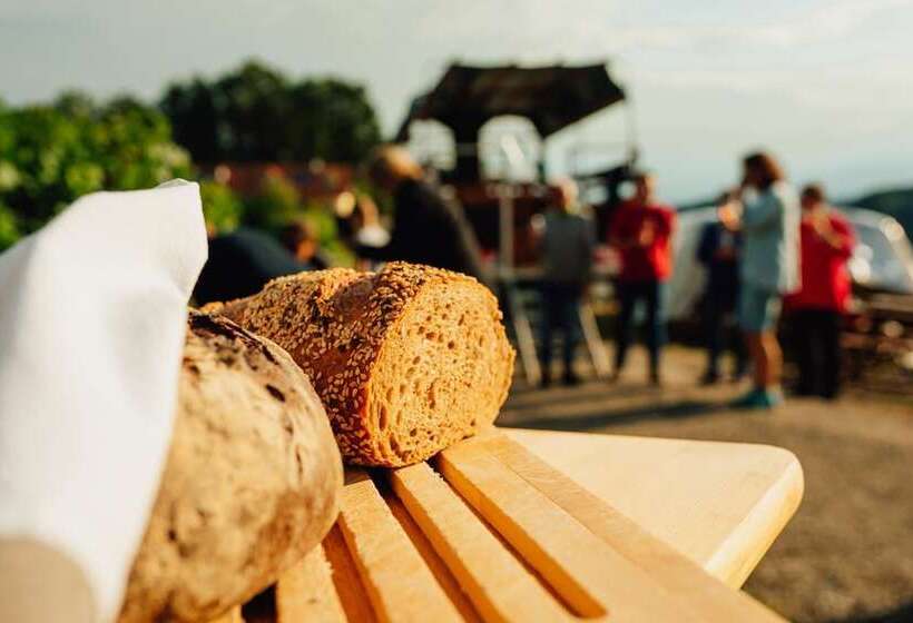 膳宿费 Winzerhof Strablegg