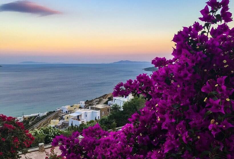 هتل Andros Prive Suites