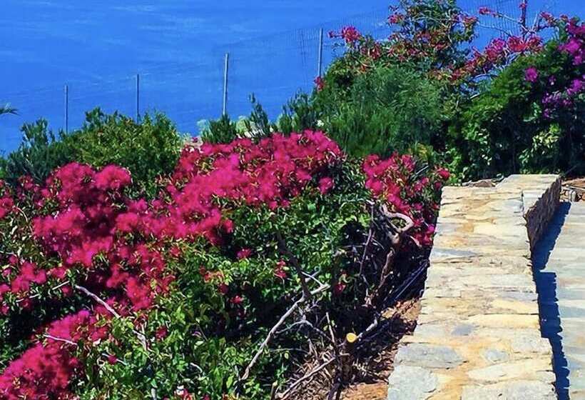 هتل Andros Prive Suites