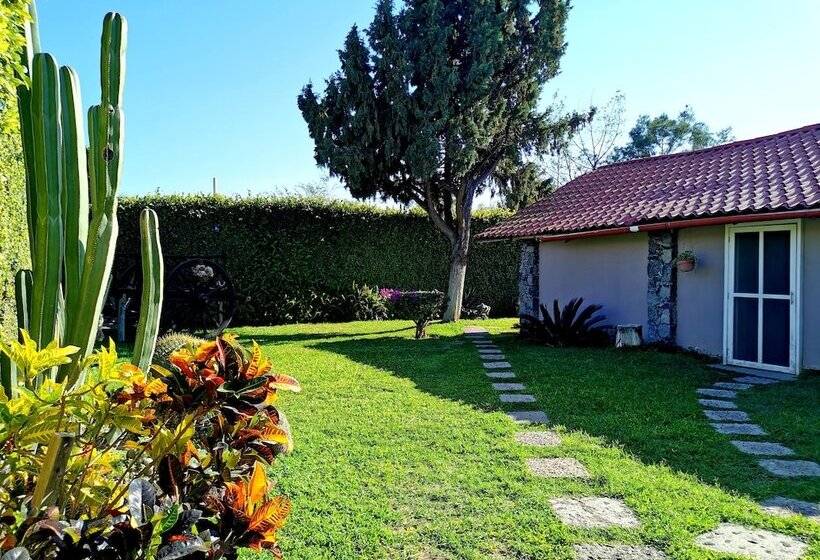 هتل La Estancia Spa