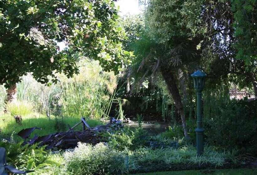 פנסיון African Vineyard Guest House