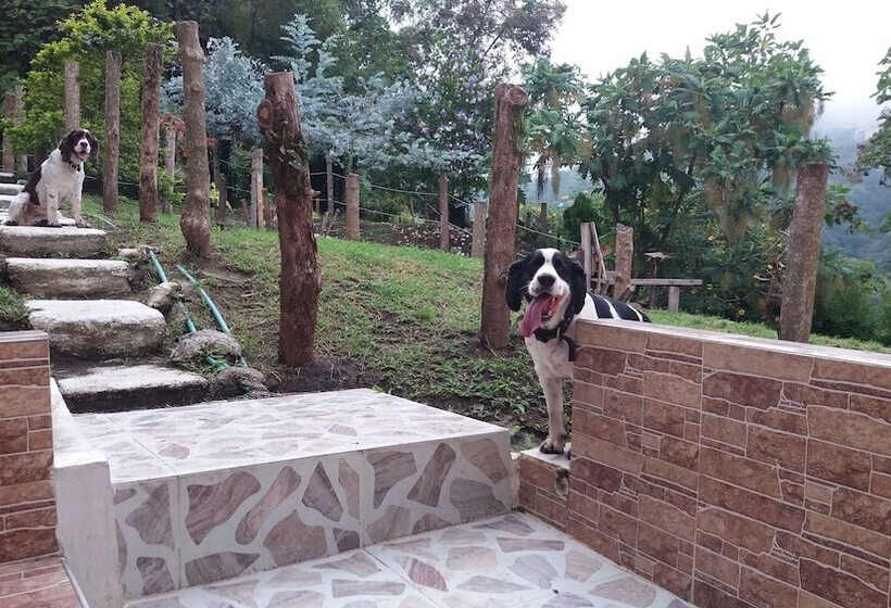 پانسیون Tranquility, Fresh Air, Birds Eye View, Green Areas, Panoramic View