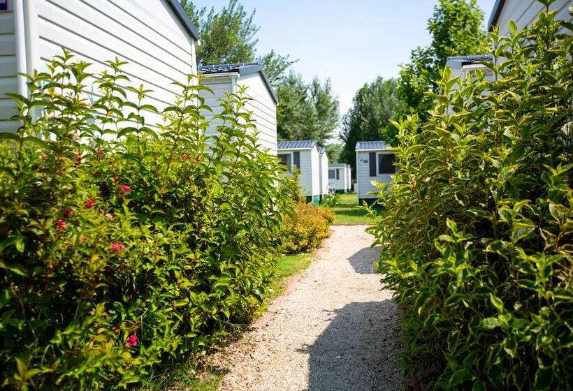 Курорт Pelso Camping