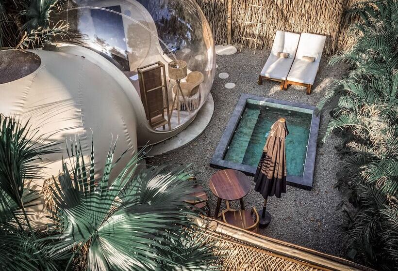 هتل Satori The Bubble Experience Lodge