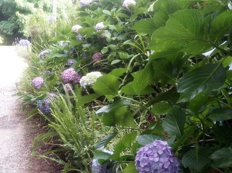 پانسیون La Lomita Del Chingolo