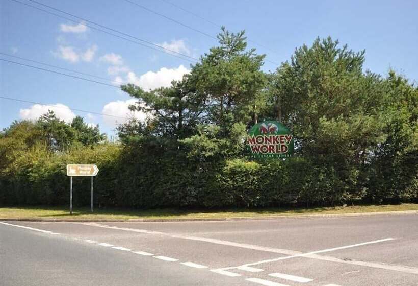 Coombe Orchard