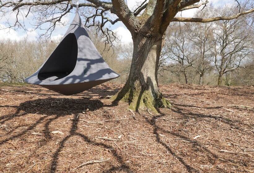 Pheasant Lodge At Chapel Lodges