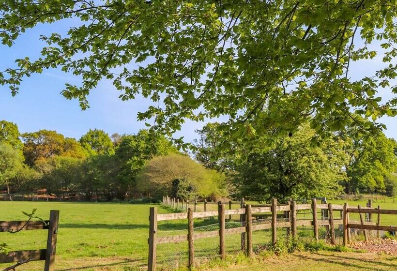 Pheasant Lodge At Chapel Lodges
