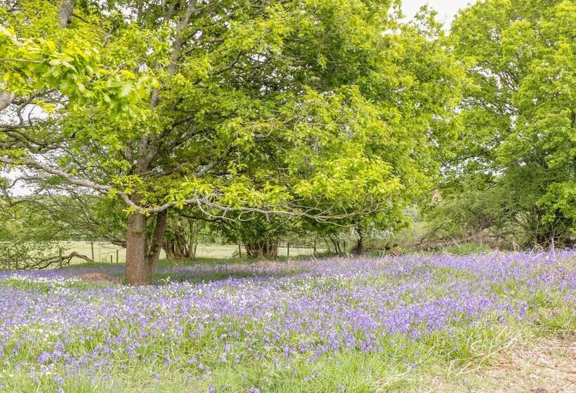 Pheasant Lodge At Chapel Lodges