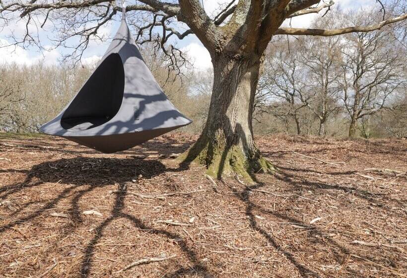 Pheasant Lodge At Chapel Lodges