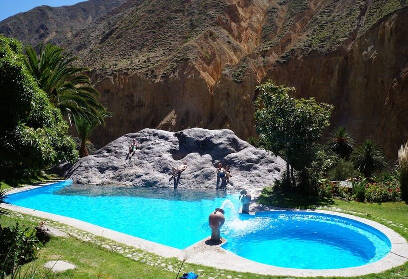 فندق صغير Paraiso Las Palmeras Lodge
