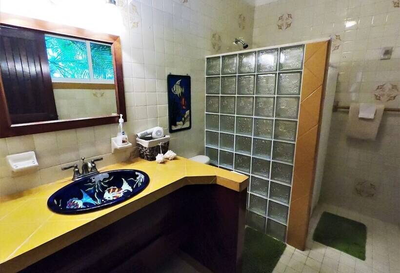 تختخواب و صبحانه Baldwin S Guest House Cozumel