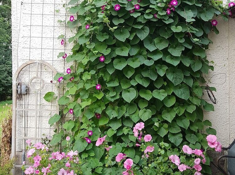 تختخواب و صبحانه Hesede Hovedgård