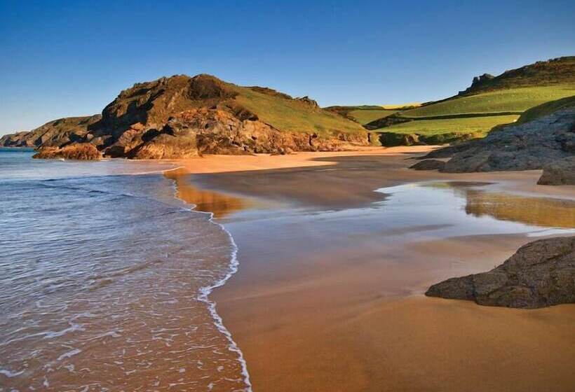 Cove View