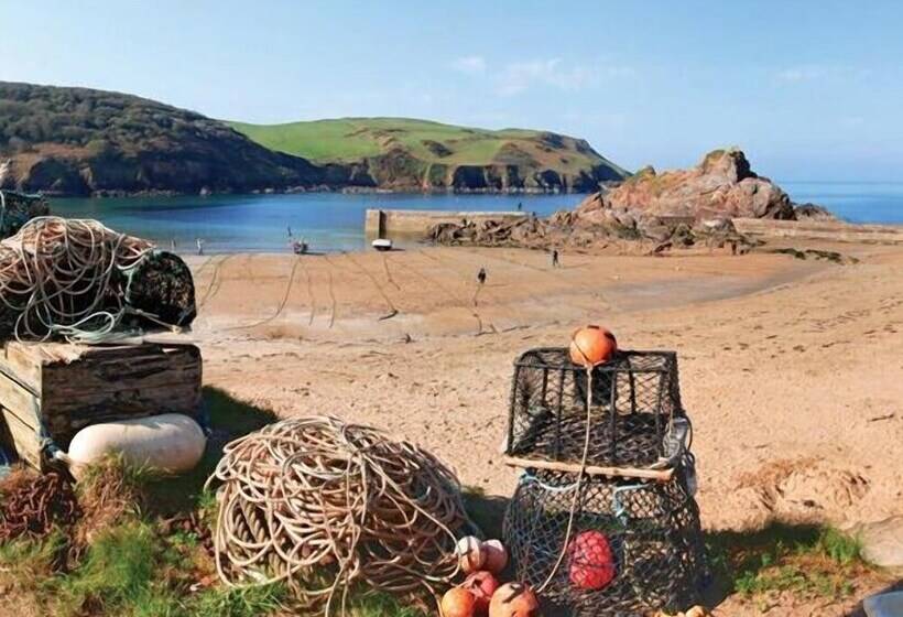 Cove View