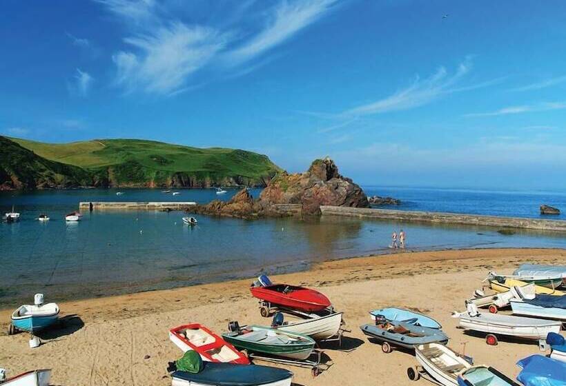Cove View