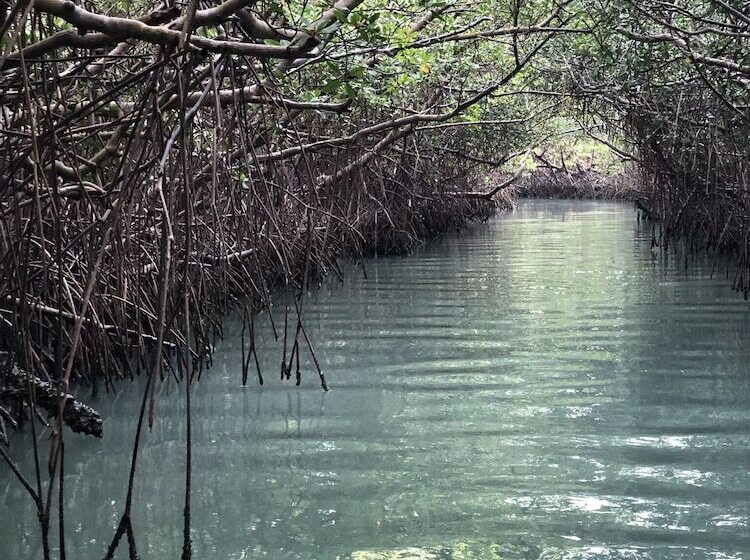 هتل Casa Das Rendas Exclusive Bungalows