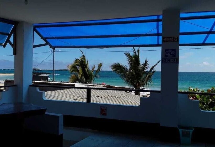 هتل Hostal Los Delfines