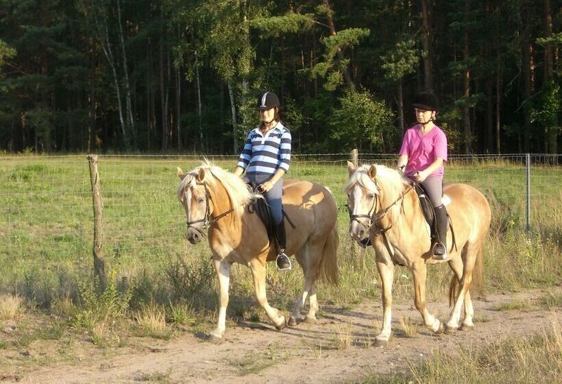 هتل روستایی Haflingerhof Noack