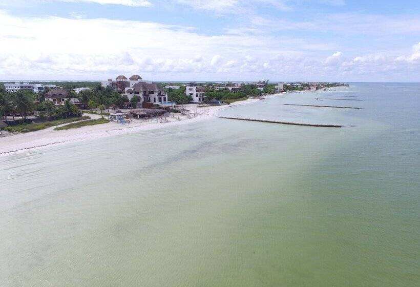پانسیون Casa Luz Beach Front Holbox