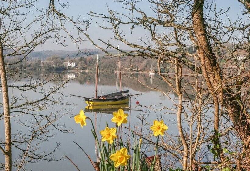 The Daffodil Shed