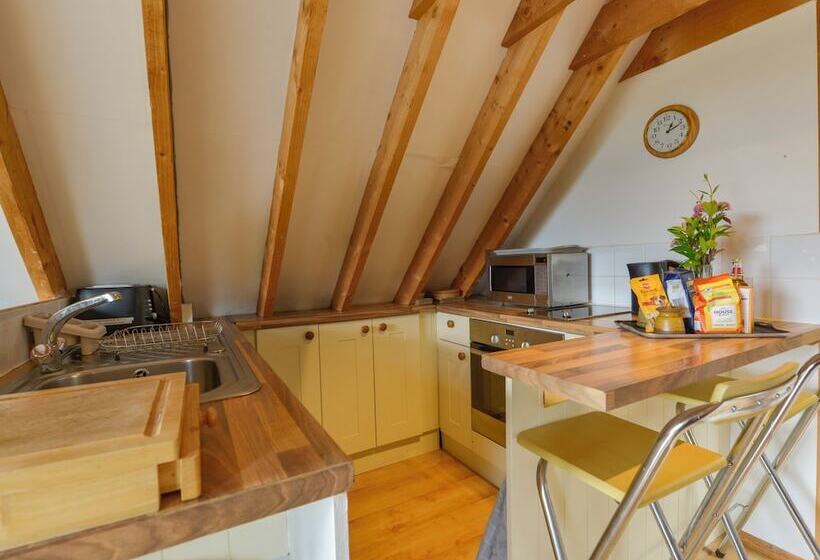 Trister Studio