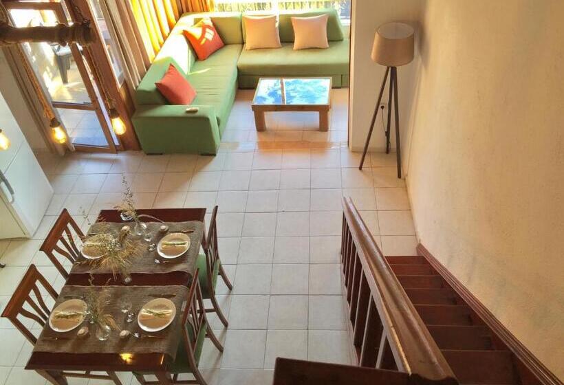 Amigo Apartments
