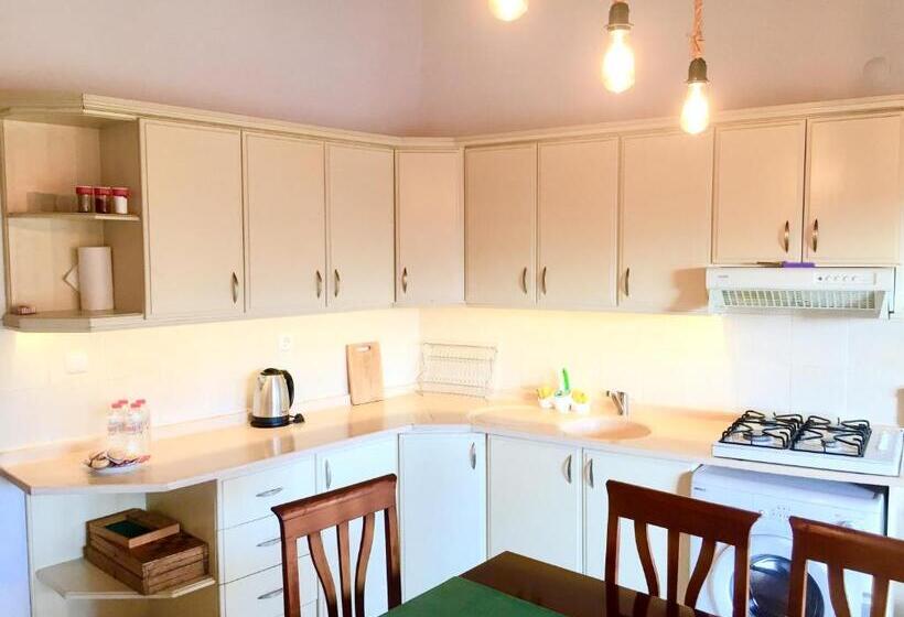 Amigo Apartments