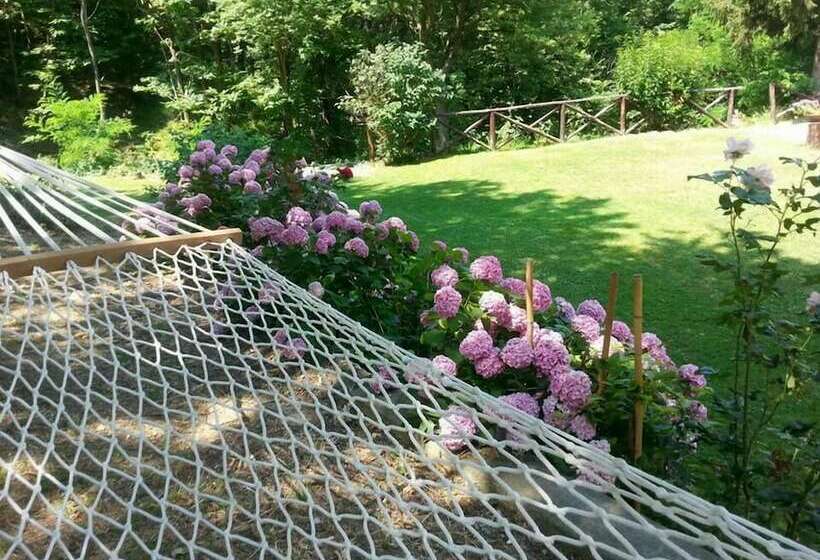 Forest View B&b