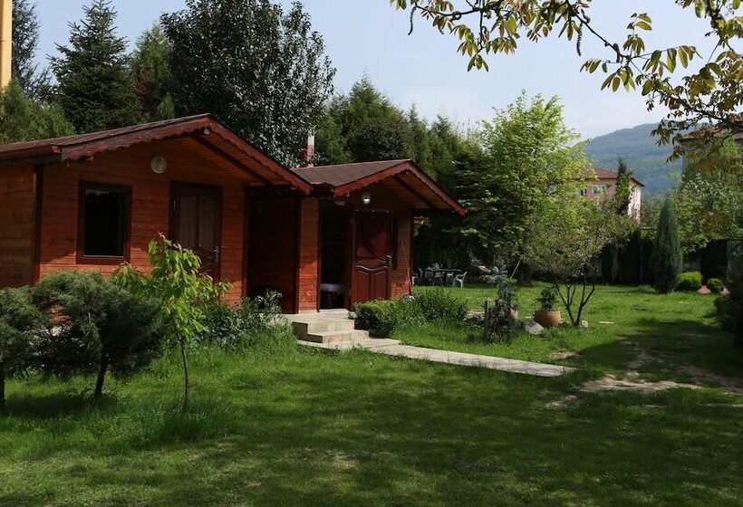 ホテル Best In Deniz 2