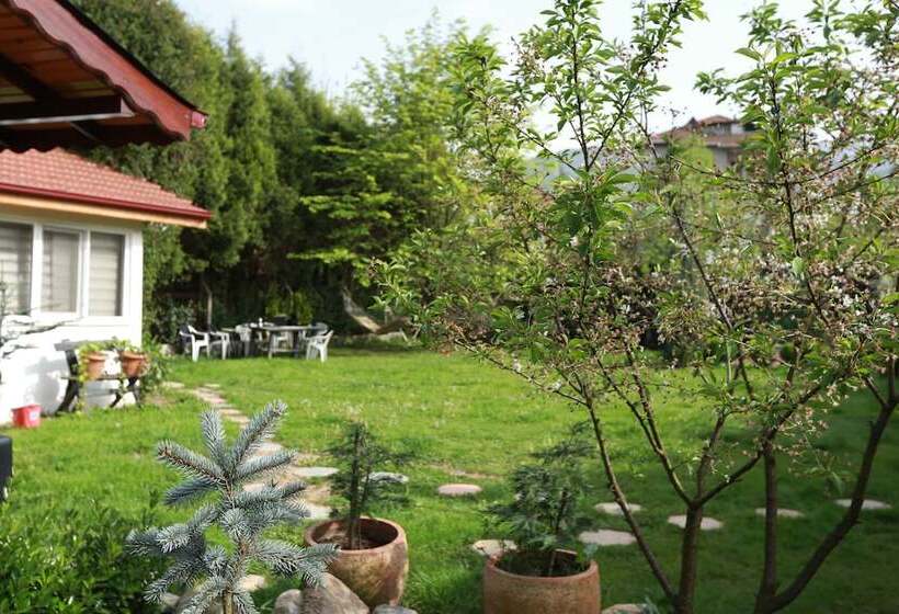 ホテル Best In Deniz 2