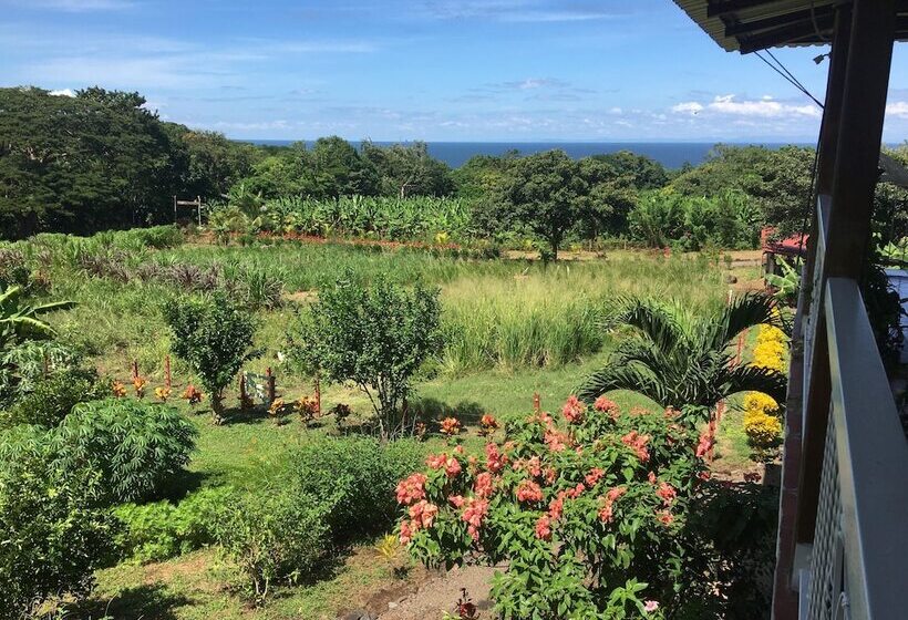 هتل Finca Ometepe