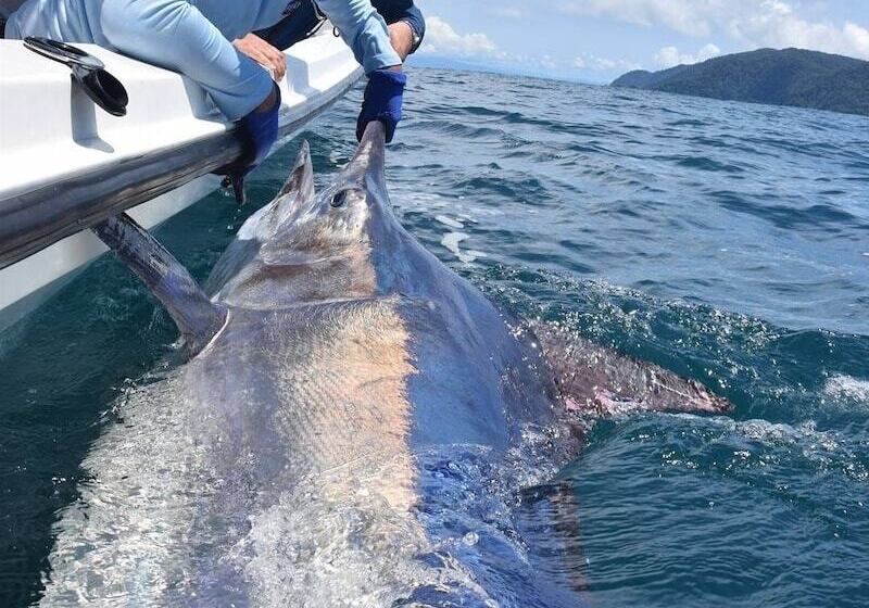 هتل Pacific Lodge