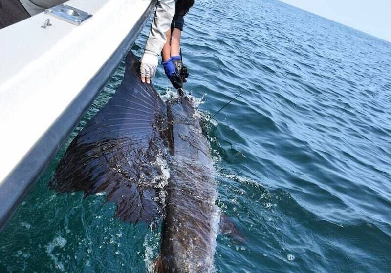 هتل Pacific Lodge