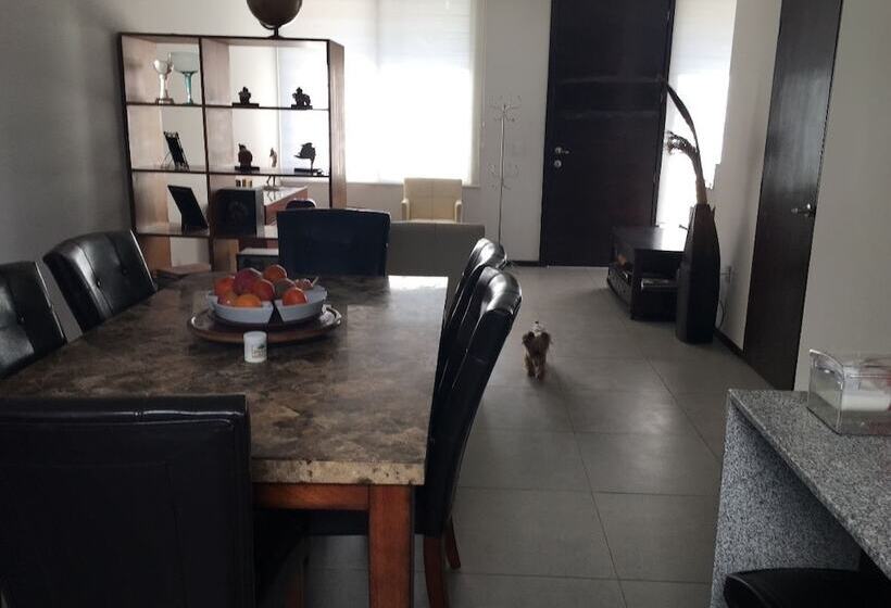 بنسيون Casa Dalel