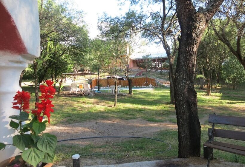 פנסיון Eco Veggie Hostel Balaramapuri