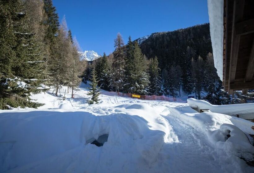 פנסיון Gite Du Prilet