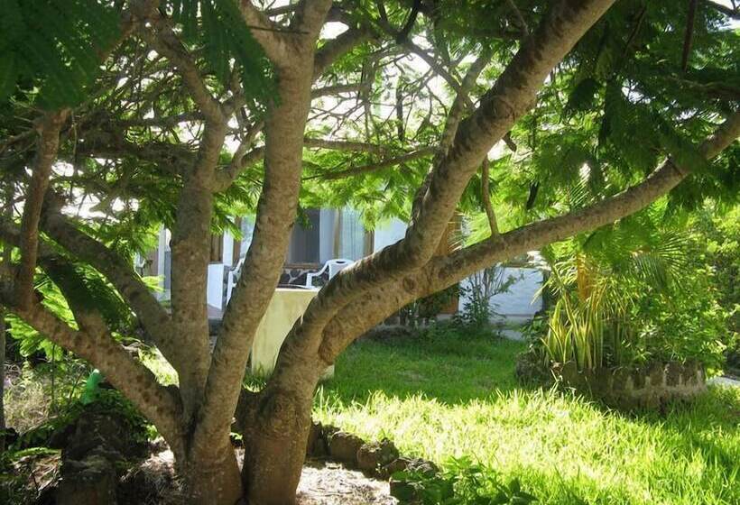 پانسیون Jean's Home