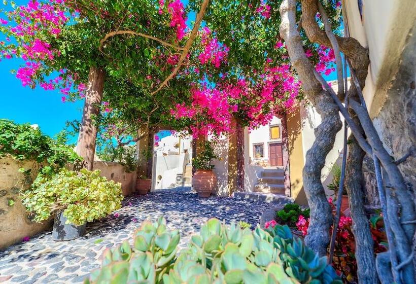 پانسیون Guest House Kalitsi