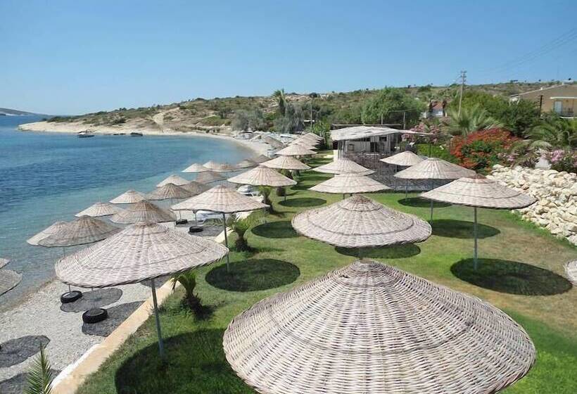 Teras Motel