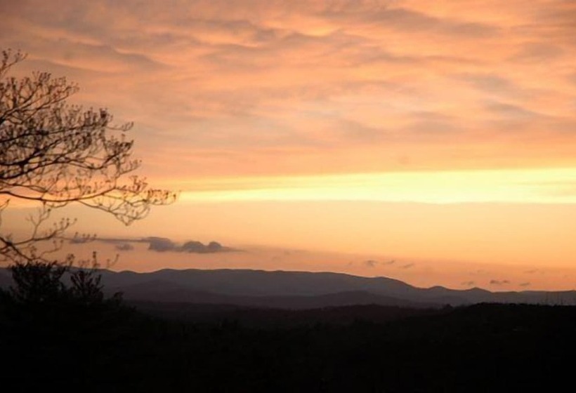 The Long View