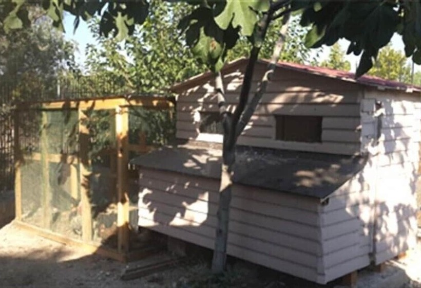 Urla Begonvil Pansiyon