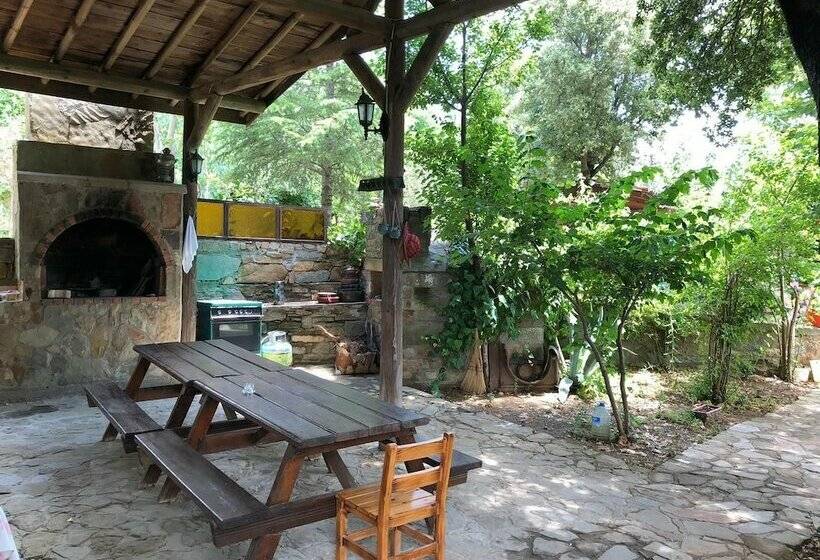 Yesil Vadi Apart Pansiyon   Hostel
