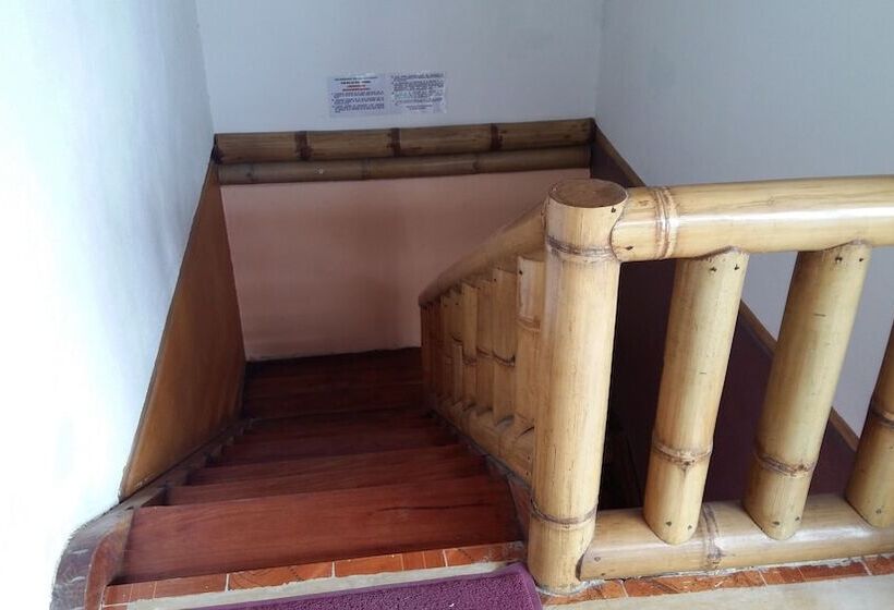 هتل Carlito's Way