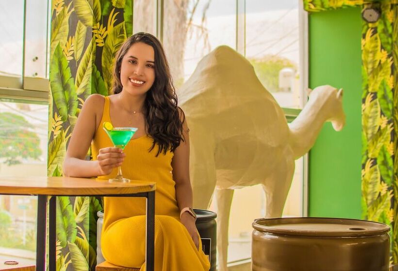 فندق Carola Lodge