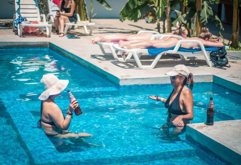 فندق Carola Lodge