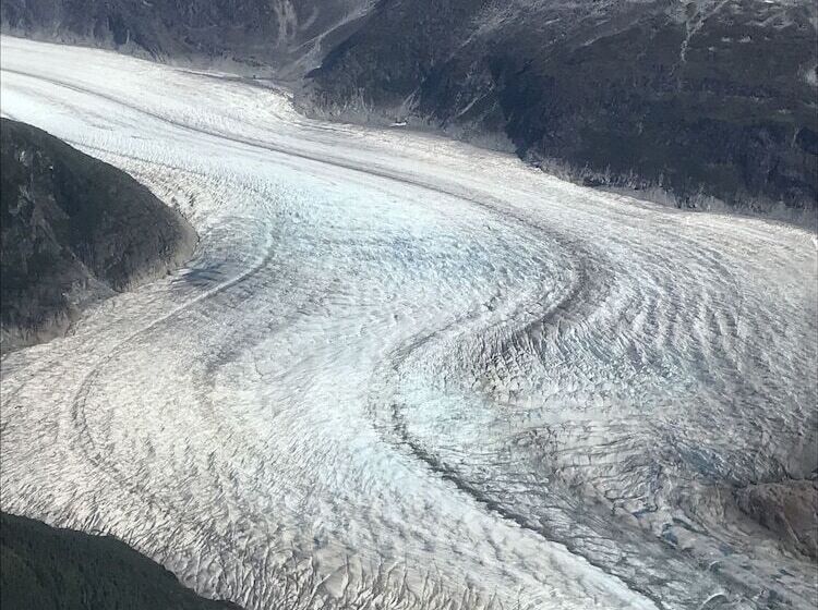 بنسيون At The White House