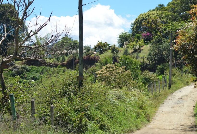 ペンション Finca Alexandría