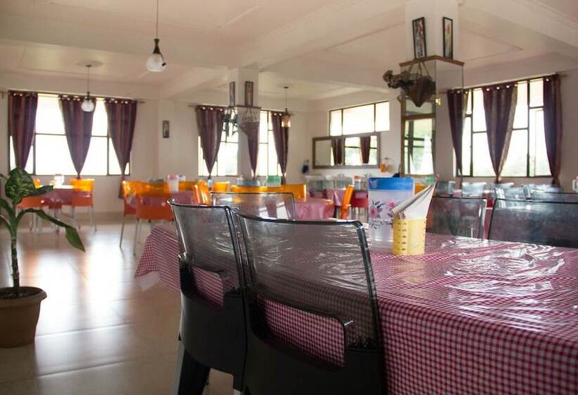 بنسيون Pumpkin Cordial Lodge