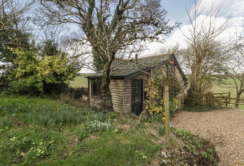 The Mouse House